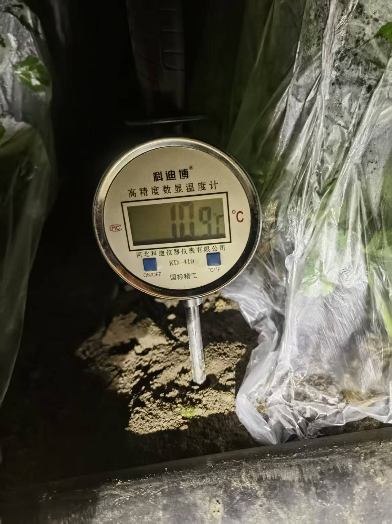 bevictor伟德-bv伟德国际体育官方网站